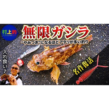 海太郎 ハンハントレーラー 一誠(イッセイ)