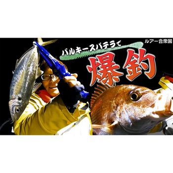海太郎 バルキースパテラ 2.5in 一誠(イッセイ)