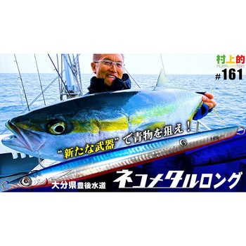 海太郎 ネコメタルロング 300g 一誠(イッセイ)