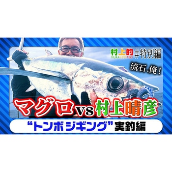 海太郎 ネコメタル 260g 一誠(イッセイ)
