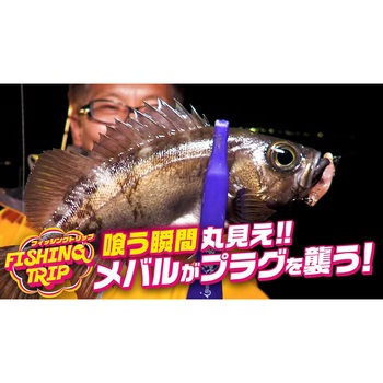 海太郎 ネコメタル 1.2g 一誠(イッセイ)