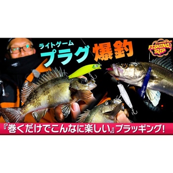 海太郎 アメミノー 55SR-SF 一誠(イッセイ)