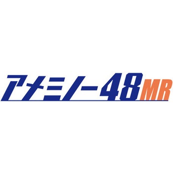 海太郎 アメミノー 48MR-SF 一誠(イッセイ)