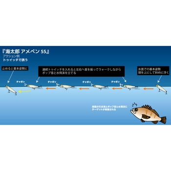 海太郎 アメペン55 - 一誠(イッセイ)