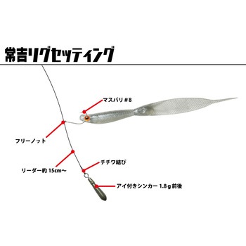 ライアミノーフラット サカナサカナ 3.8 一誠(イッセイ)