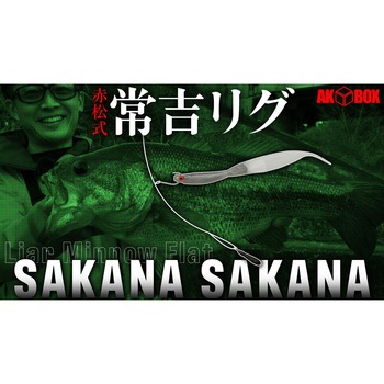 ライアミノーフラット サカナサカナ 3.8 一誠(イッセイ)