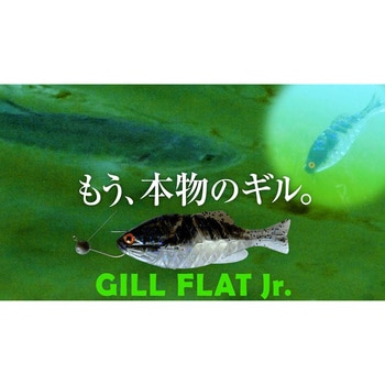ギルフラットJr. 一誠(イッセイ)