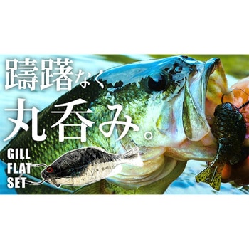 ギルフラット 一誠(イッセイ)