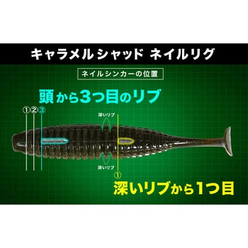 キャラメルシャッド2.6 一誠(イッセイ)