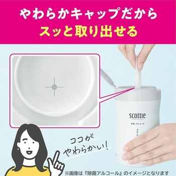 スコッティ ウェットティッシュ 純水 ノンアルコール 本体 日本製紙クレシア