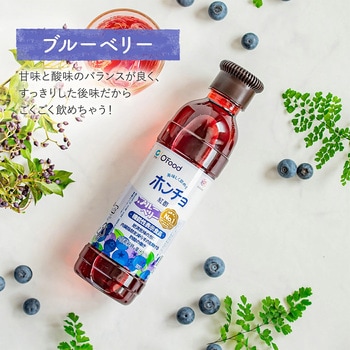 ホンチョ ブルーベリー O'food