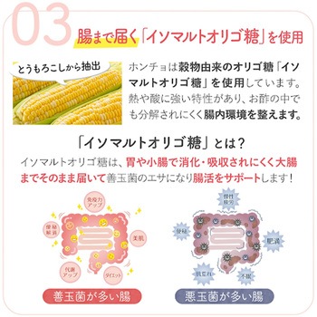 ホンチョ ブルーベリー O'food