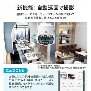 SecuSTATION 光学ズームパンチルト防犯カメラ 【セキュガードDズーム】 SecuSTATION
