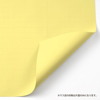 マス目模造紙 50枚 マルアイ