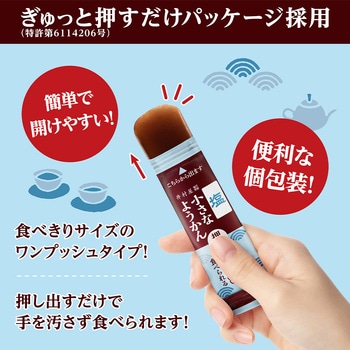 片手で食べられる小さなようかん 塩 井村屋