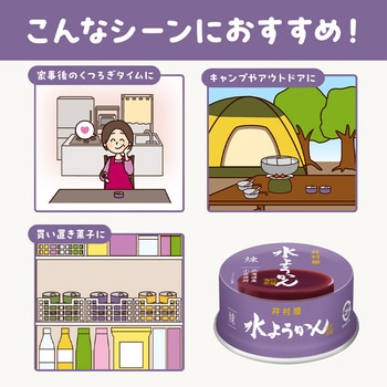 缶水ようかん 煉 井村屋