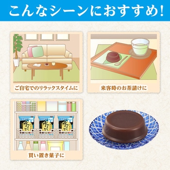 袋入 水ようかん糖質オフ 井村屋