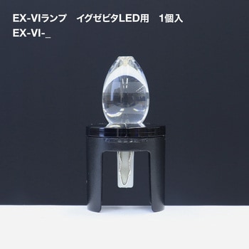 EX-VIランプ TOKISTAR