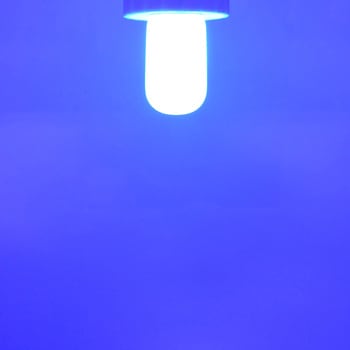 LEDミニナツメ球 E12 光商事