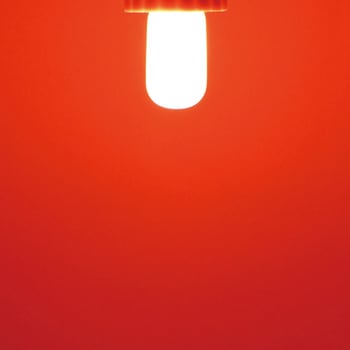 LEDミニナツメ球 E12 光商事