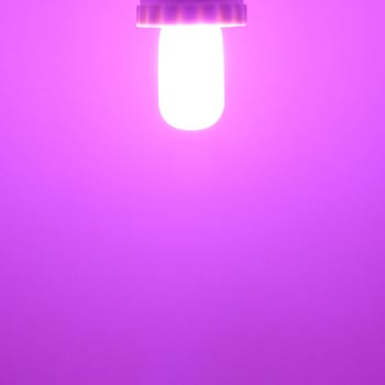LEDミニナツメ球 E12 光商事