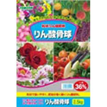 - ���_���� TOMSON(�g���\��) 31423675