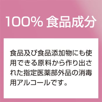 手指消毒用アルコール Nスター ニイタカ 液体手指消毒剤 【通販