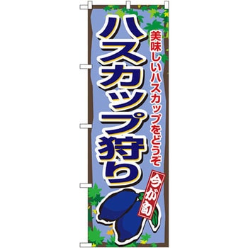 のぼり 今が旬 ハスカップ狩り 美味しいハスカップをどうぞ P・O・Pプロダクツ