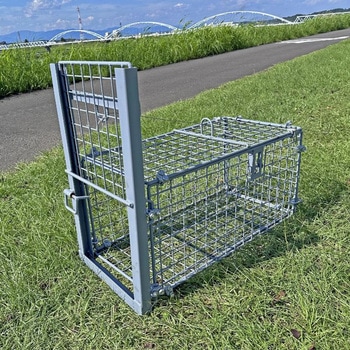 ファーレ旭式 小動物用箱罠スモールサイズ 片扉 イノホイ