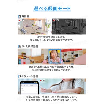 SecuSTATION 屋内用見守り監視カメラ【カメまるD高画質】 SecuSTATION