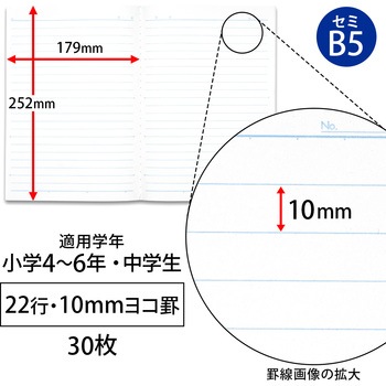 スクールラインプラスノート セミB5 - 日本ノート