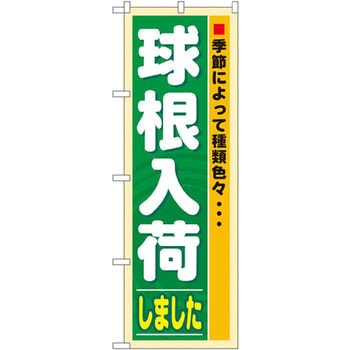 のぼり 球根入荷しました 季節によって種類色々・・・ P・O・Pプロダクツ