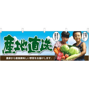 横幕 産地直送 子供写真 P・O・Pプロダクツ