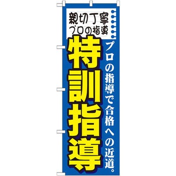 のぼり 親切丁寧プロの指導 特訓指導 プロの指導で合格への近道。 P・O・Pプロダクツ