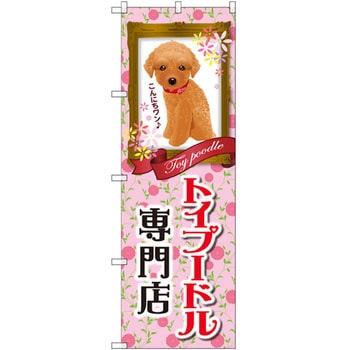 のぼり トイプードル専門店 P・O・Pプロダクツ