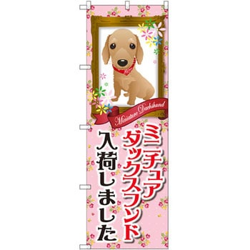 のぼり ミニチュアダックスフンド入荷しました - P・O・Pプロダクツ