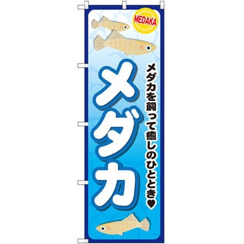 のぼり メダカ メダカを飼って癒しのひととき P・O・Pプロダクツ