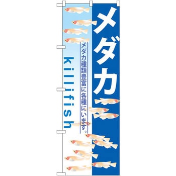 のぼり メダカ メダカ種類豊富に各種います。 P・O・Pプロダクツ
