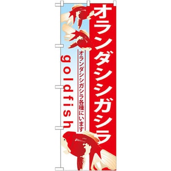 のぼり オランダシシガシラ オランダシシガシラ各種にいます。 P・O・Pプロダクツ