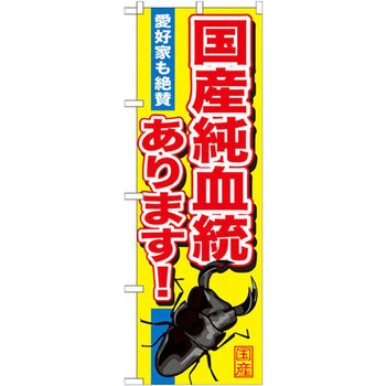 のぼり 国産純血統あります 愛好家も絶賛 P・O・Pプロダクツ