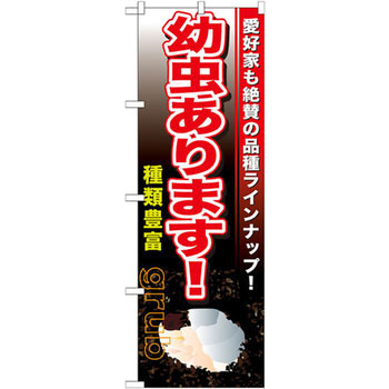 のぼり 幼虫あります!愛好家も絶賛も品種ラインナップ!種類豊富 P・O・Pプロダクツ