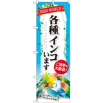 のぼり 各種インコいます ご見学も大歓迎! P・O・Pプロダクツ