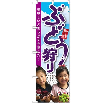 のぼり ぶどう狩り 美味しいぶどうができました! P・O・Pプロダクツ
