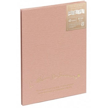 A-PAJ-KG-2 AR[fBI|PbgAo iJoV KG12[ ΂玮 31489895