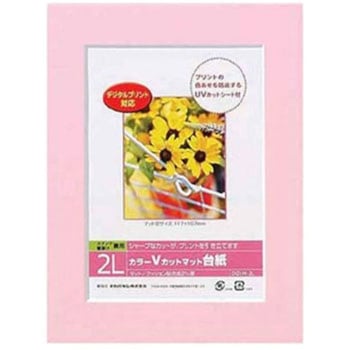 カラーVカット台紙 ナカバヤシ