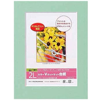 カラーVカット台紙 ナカバヤシ