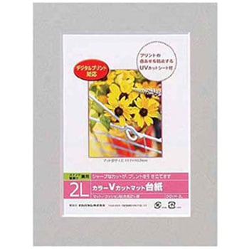 カラーVカット台紙 ナカバヤシ