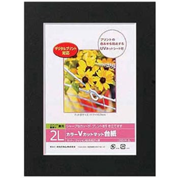 カラーVカット台紙 ナカバヤシ