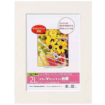 カラーVカット台紙 ナカバヤシ