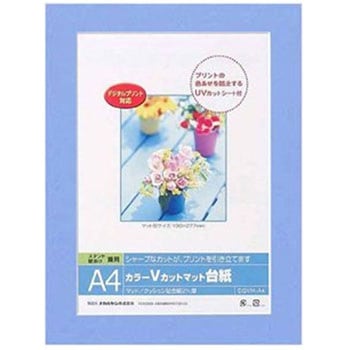 カラーVカット台紙 ナカバヤシ